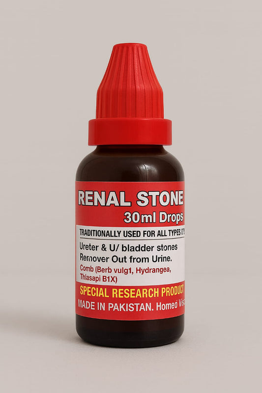 Renal Stone Breaker